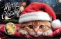 Merry Christmas 1/1000 oz Gold coin in Card - Christmas Cat with Santa's Hat