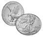 2022-W Burnished Uncirculated American Silver Eagle Coin