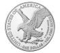 2022-S Proof American Silver Eagle PR70 1st Release