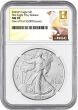 2025 (P)  Silver Eagle With Eagle Privy NGC MS70 - First 50K Issued 