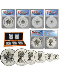 2013 5-Piece 25th Anniversary Canadian Maple Leaf Fractional Set