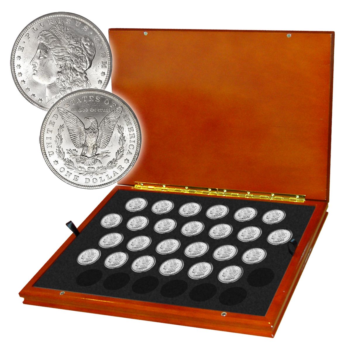 25_morgan_dollars_in_box_tpm_1