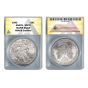 1993 American Silver Eagle 1oz coin MS70