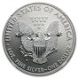 2013 West Point Silver Eagle Two-Coin Set