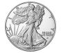 2023-W Proof American Silver Eagle PR70
