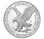 2023-W Proof American Silver Eagle PR70