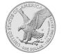 2024 W American Proof Silver Eagle Coin (OGP & COA)