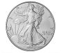 2024-W Burnished Uncirculated American Silver Eagle Coin