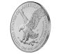 2024-W Burnished Uncirculated American Silver Eagle Coin