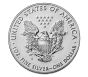 2019-S American Eagle Enhanced Reverse Proof One Ounce Silver Coin (19XE) OGP/COA