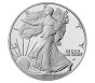2024 W American Proof Silver Eagle Coin (OGP & COA)
