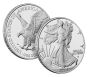2024 W American Proof Silver Eagle Coin (OGP & COA)