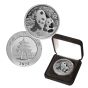 2024 10 Yuan Silver Chinese Panda .999 30g Brilliant Uncirculated in box