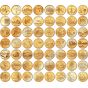 Complete 56 State and Territory Quarter Collection Gold Plated in Folder Map