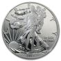 2013 West Point Silver Eagle Two-Coin Set