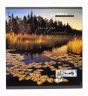 1999 Canada Post Annual Collection of Canada's Stamps